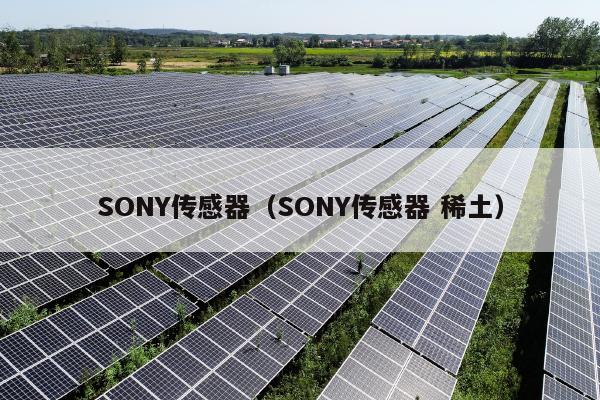 SONY传感器（SONY传感器 稀土）