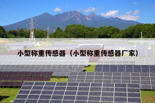 小型称重传感器（小型称重传感器厂家）