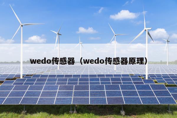 wedo传感器（wedo传感器原理）